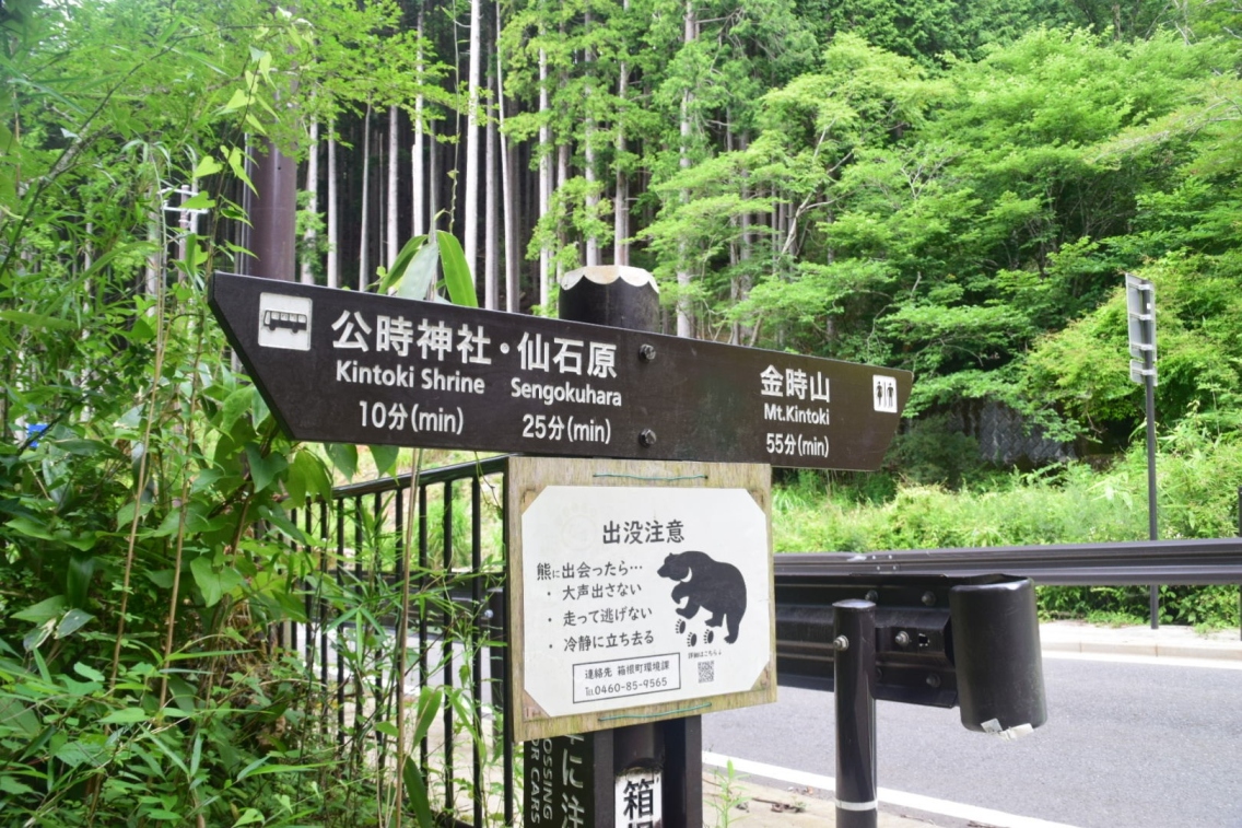 途中車道を横断しますのでお気をつけください