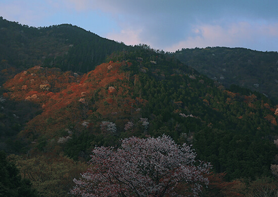 箱根最後の秘境 大平台