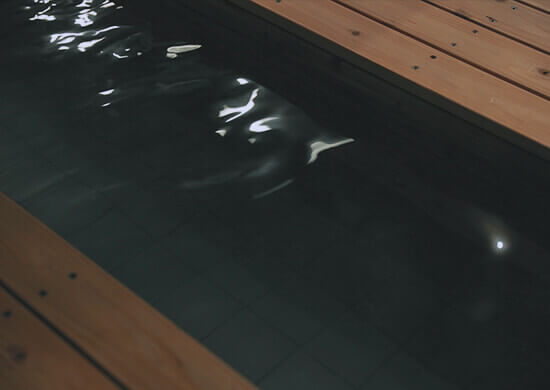 未病改善の新湯治