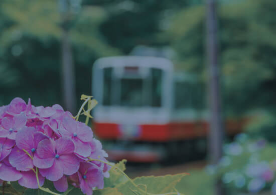 観光地への抜群のロケーション